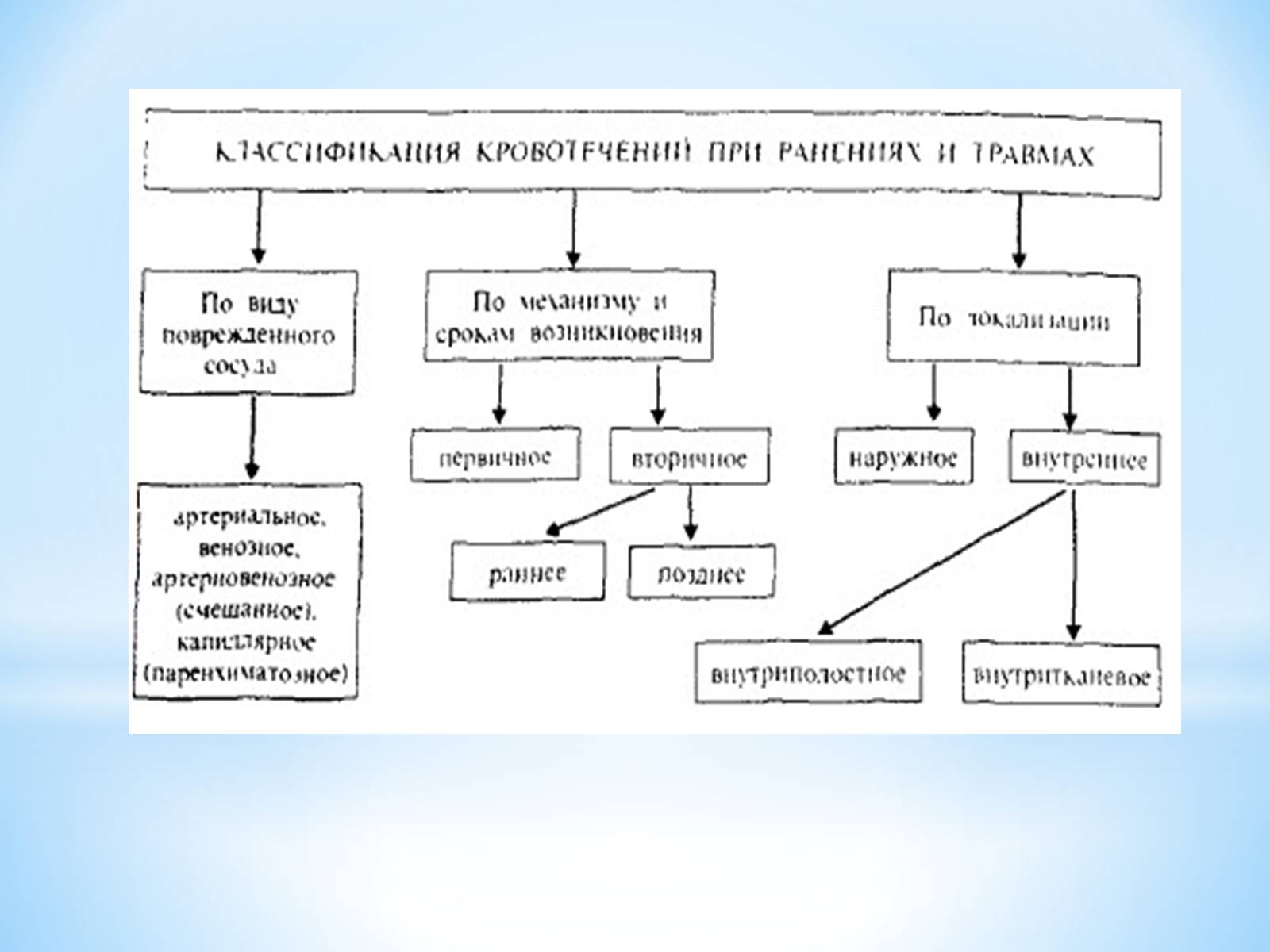 Презентація на тему «Кровоносна система» (варіант 1) - Слайд #21 Презентація на тему «Кровоносна система» (варіант 1) - Слайд #21