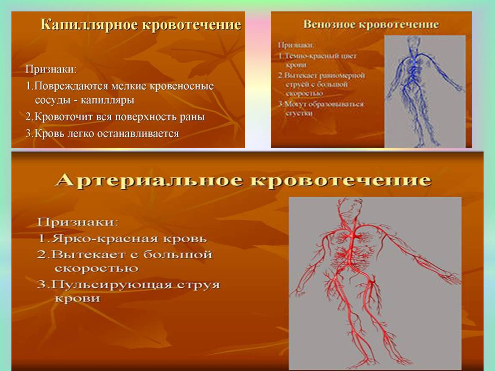 Презентація на тему «Кровоносна система» (варіант 1) - Слайд #22 Презентація на тему «Кровоносна система» (варіант 1) - Слайд #22