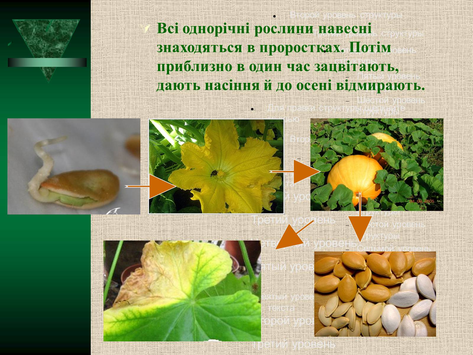 Презентація на тему «Популяції» (варіант 2) - Слайд #15 Презентація на тему «Популяції» (варіант 2) - Слайд #15