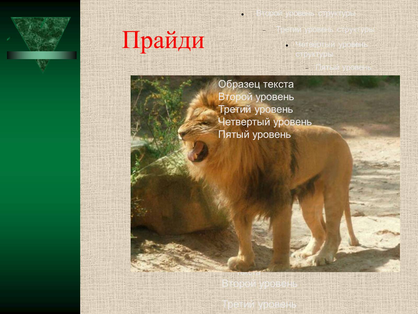 Презентація на тему «Популяції» (варіант 2) - Слайд #18 Презентація на тему «Популяції» (варіант 2) - Слайд #18