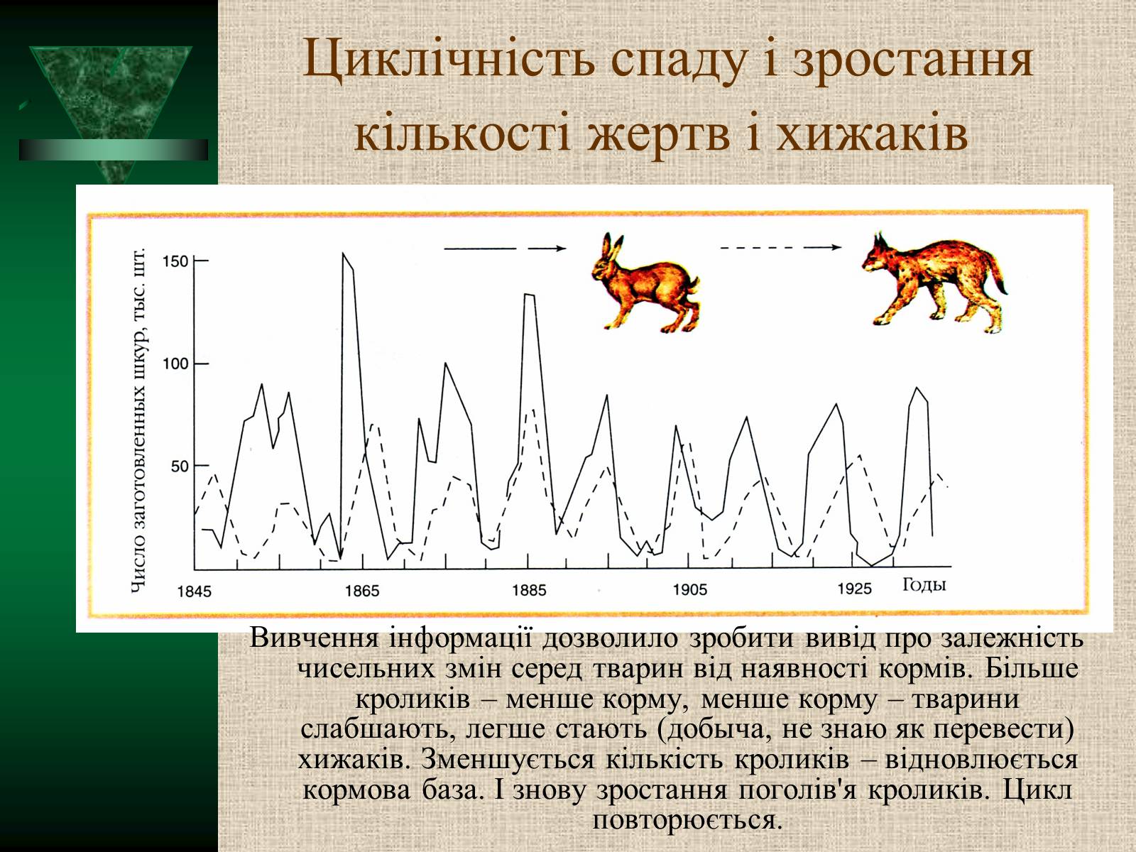 Презентація на тему «Популяції» (варіант 2) - Слайд #9 Презентація на тему «Популяції» (варіант 2) - Слайд #9