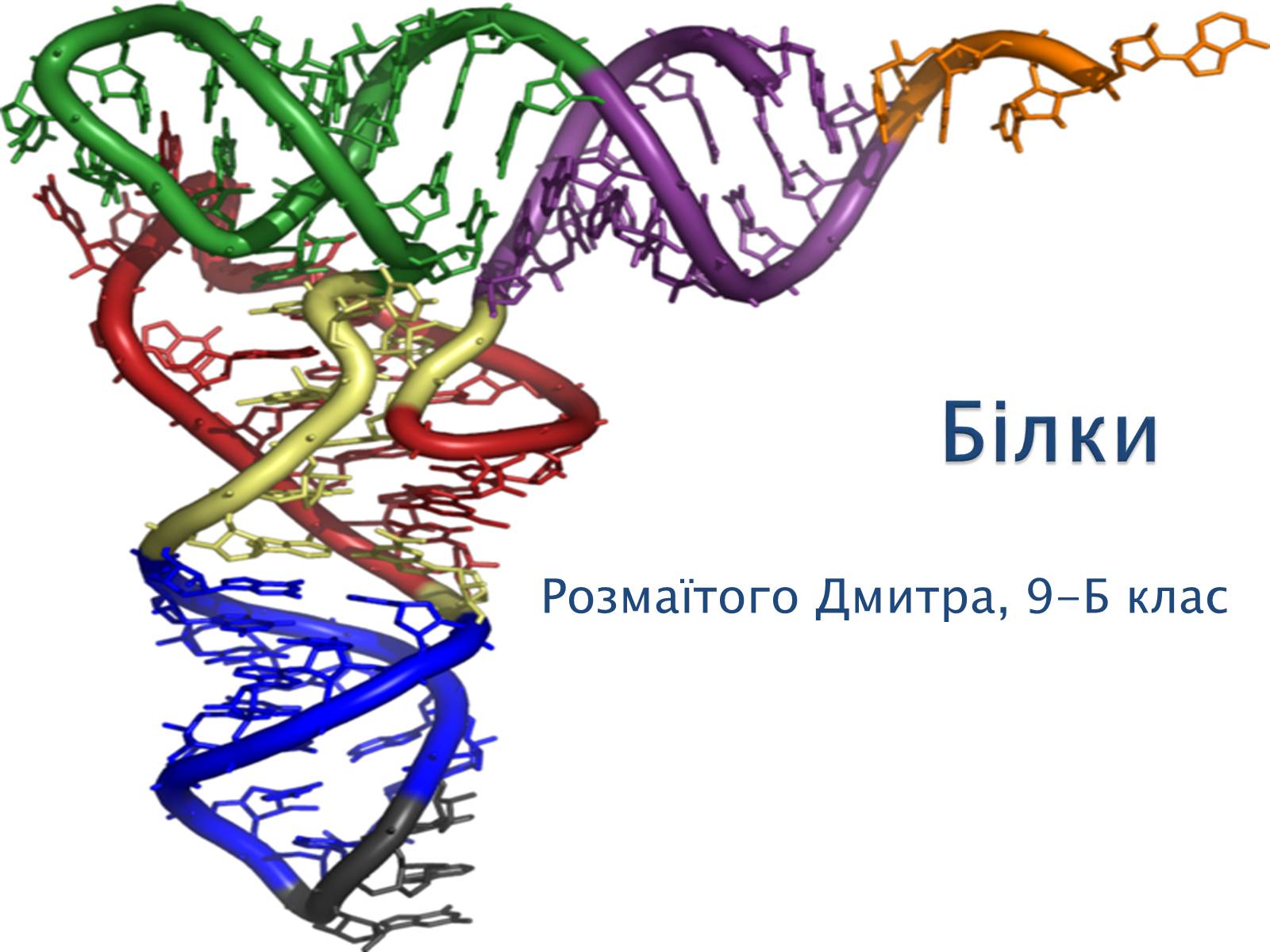 Презентація на тему «Білки» (варіант 9) - Слайд #1 Презентація на тему «Білки» (варіант 9) - Слайд #1