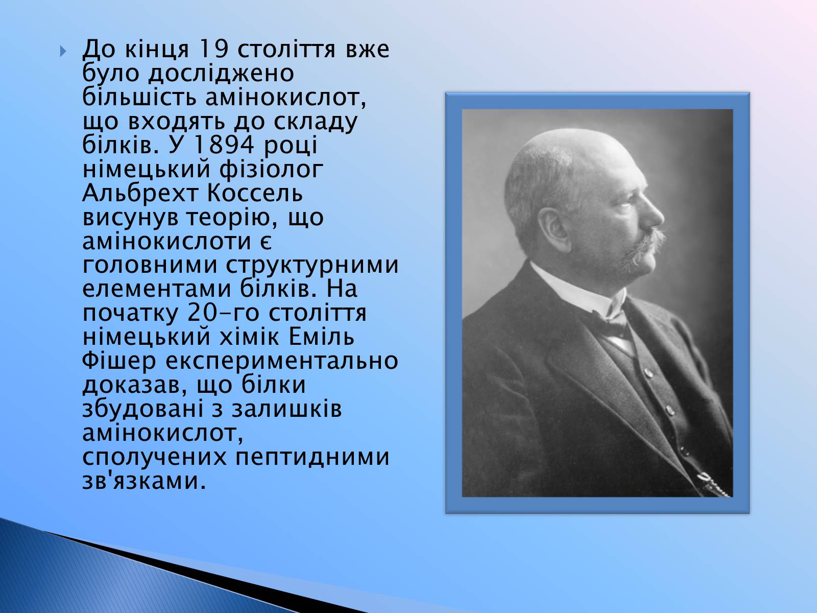 Презентація на тему «Білки» (варіант 9) - Слайд #14 Презентація на тему «Білки» (варіант 9) - Слайд #14