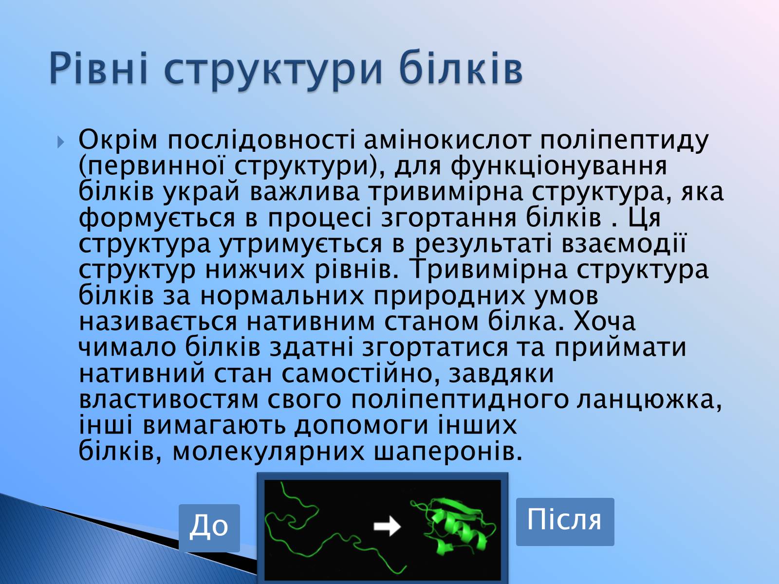 Презентація на тему «Білки» (варіант 9) - Слайд #28 Презентація на тему «Білки» (варіант 9) - Слайд #28