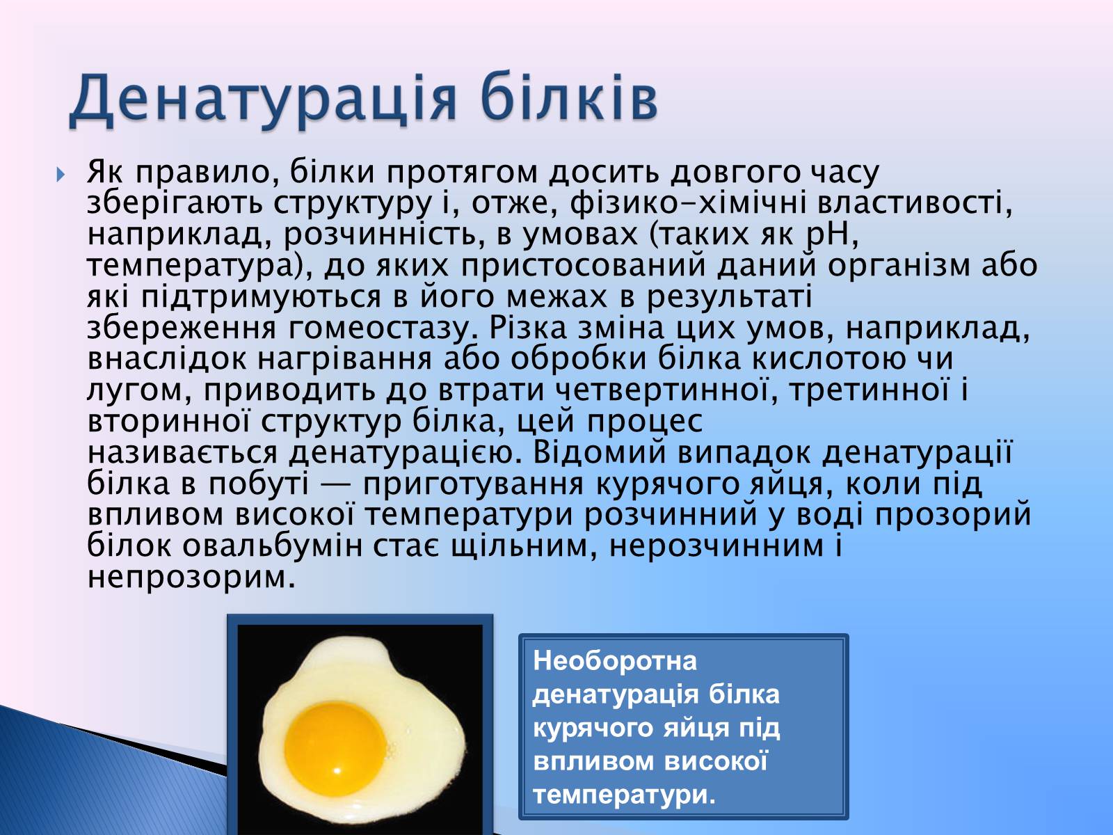 Презентація на тему «Білки» (варіант 9) - Слайд #36 Презентація на тему «Білки» (варіант 9) - Слайд #36