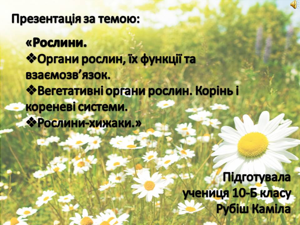 Презентація на тему «Рослини» - Слайд #1 Презентація на тему «Рослини» - Слайд #1