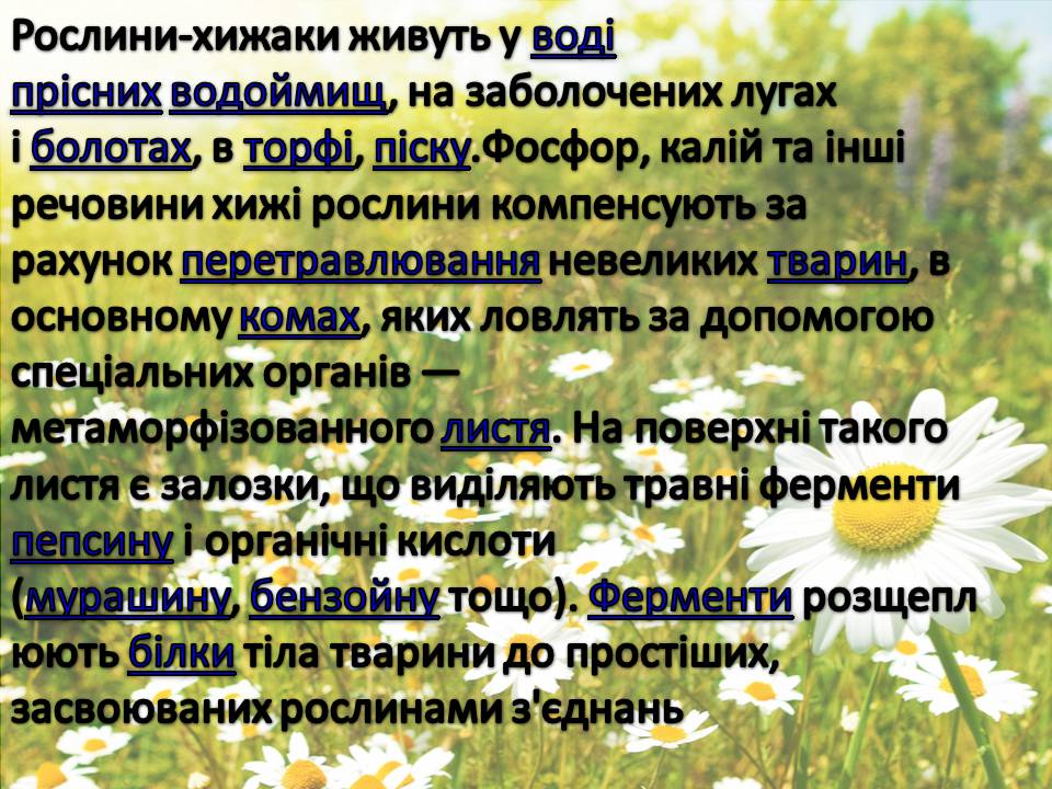 Презентація на тему «Рослини» - Слайд #16 Презентація на тему «Рослини» - Слайд #16