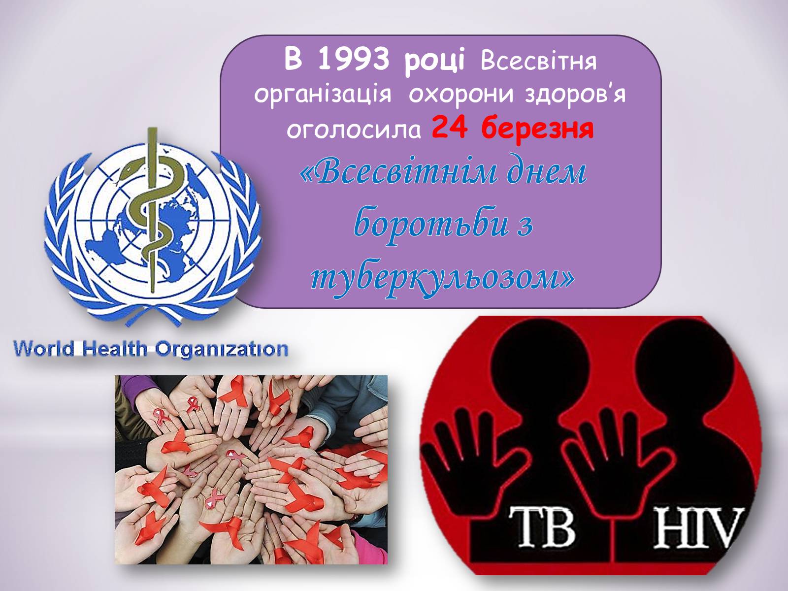 Презентація на тему «Туберкульоз» (варіант 6) - Слайд #15 Презентація на тему «Туберкульоз» (варіант 6) - Слайд #15