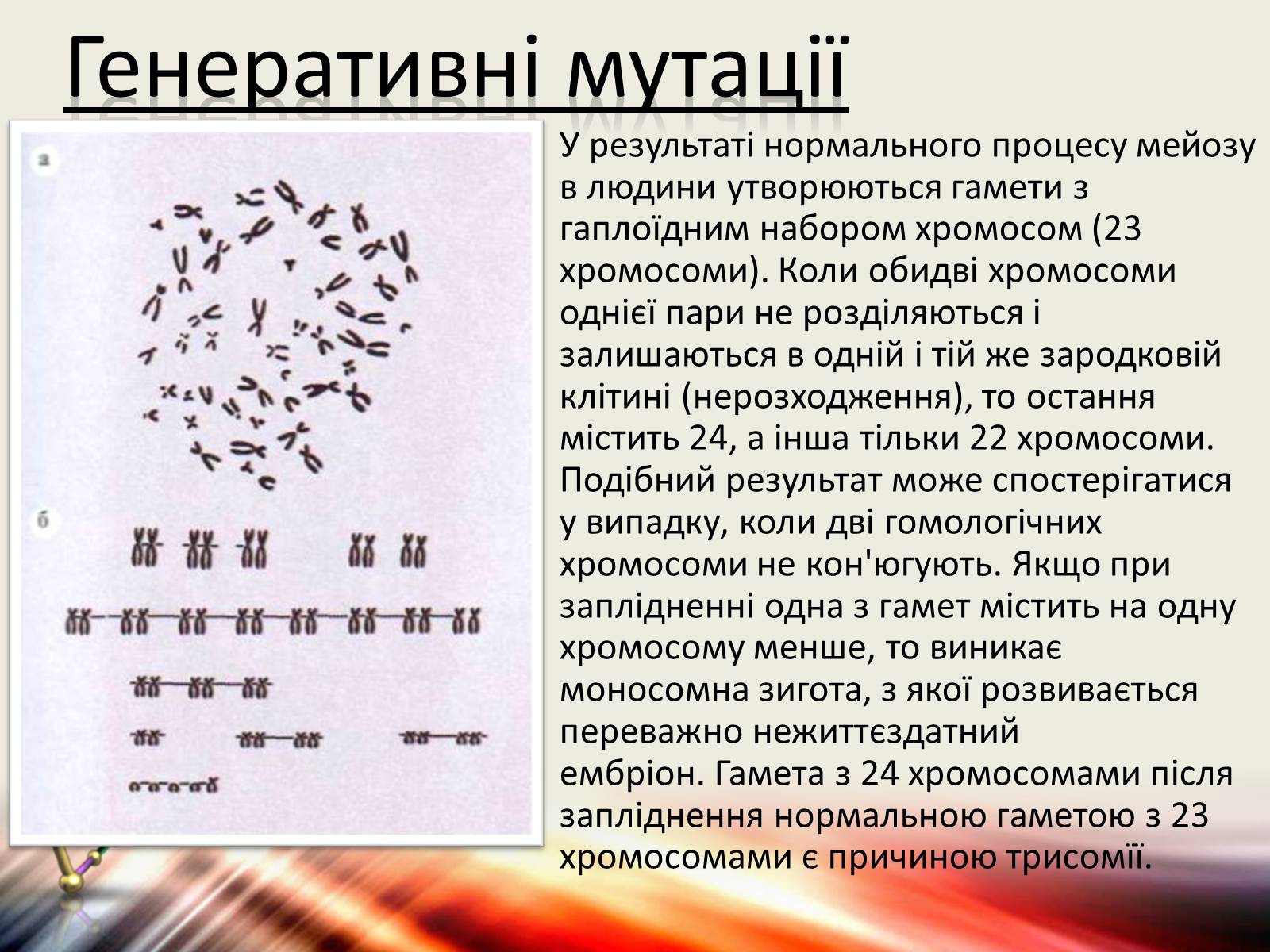 Презентація на тему «Види мутацій. Мутагени» - Слайд #3 Презентація на тему «Види мутацій. Мутагени» - Слайд #3