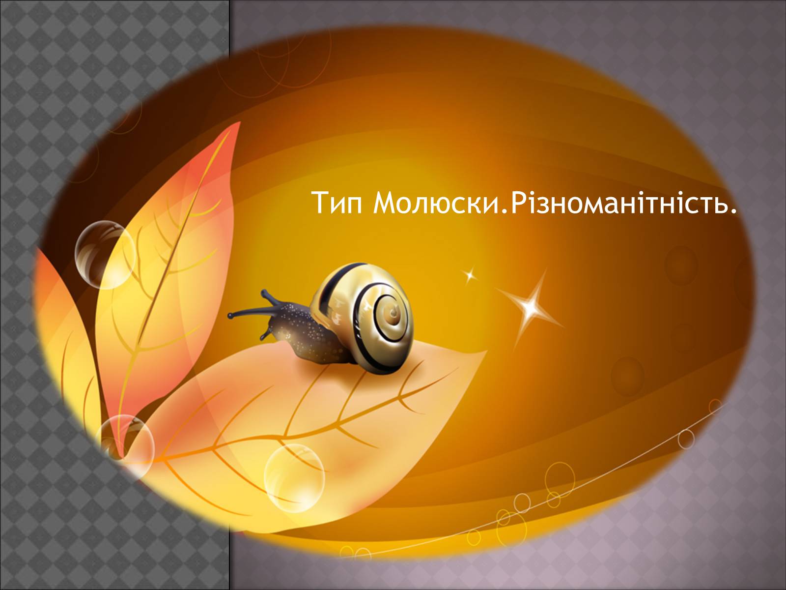 Презентація на тему «Тип Молюски. Різноманітність» - Слайд #1 Презентація на тему «Тип Молюски. Різноманітність» - Слайд #1