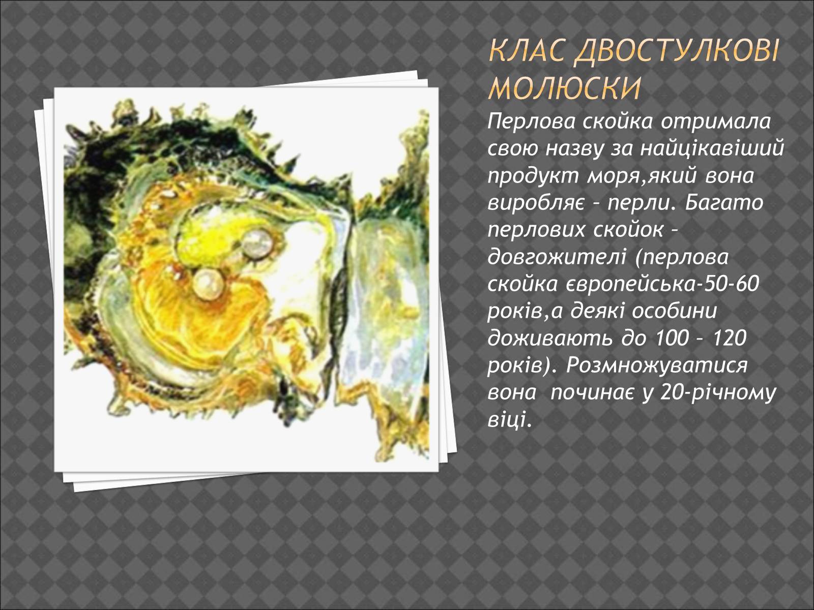Презентація на тему «Тип Молюски. Різноманітність» - Слайд #6 Презентація на тему «Тип Молюски. Різноманітність» - Слайд #6
