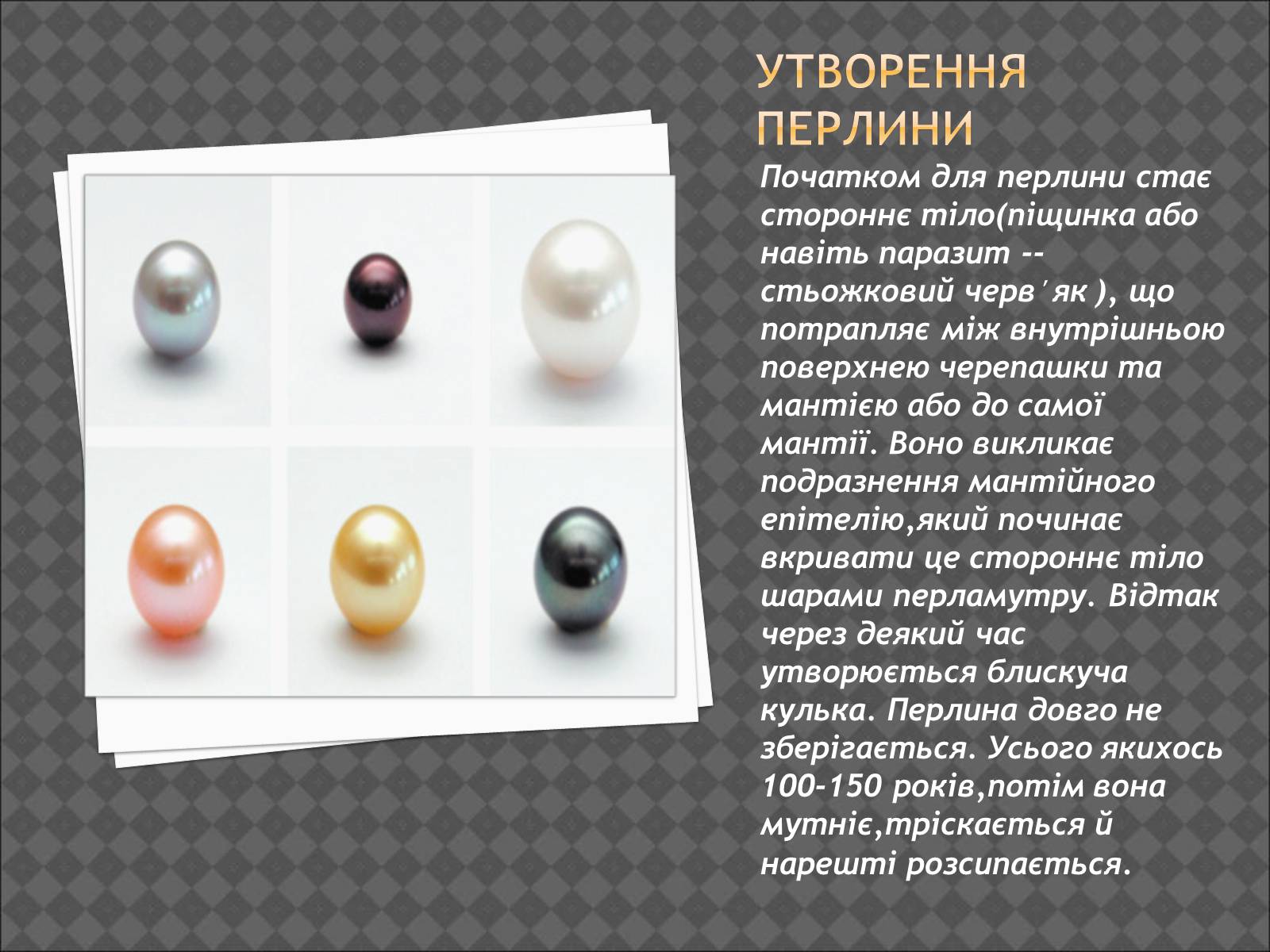 Презентація на тему «Тип Молюски. Різноманітність» - Слайд #7 Презентація на тему «Тип Молюски. Різноманітність» - Слайд #7