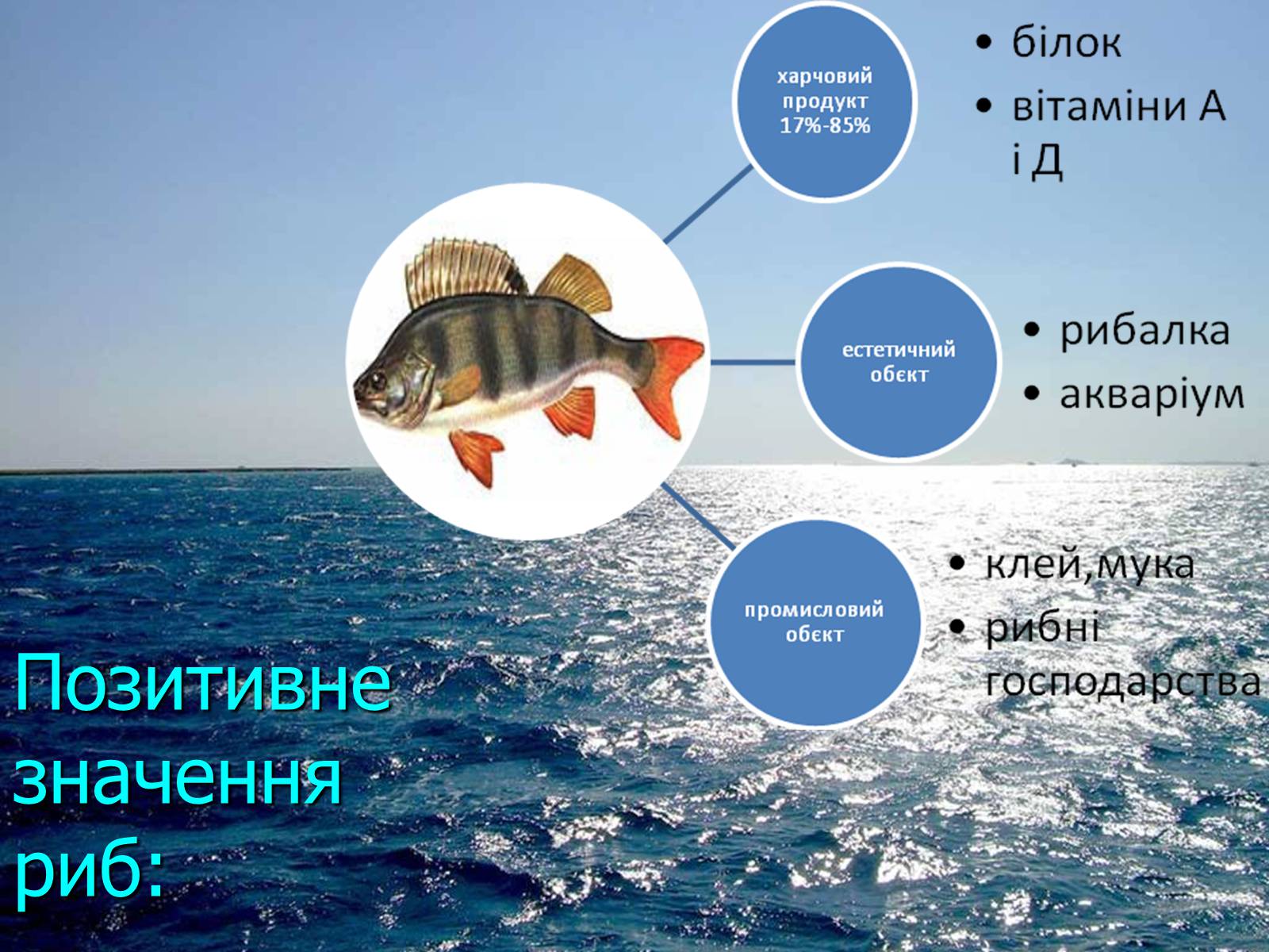 Презентація на тему «Значення риб у природі та житті людини» - Слайд #2 Презентація на тему «Значення риб у природі та житті людини» - Слайд #2
