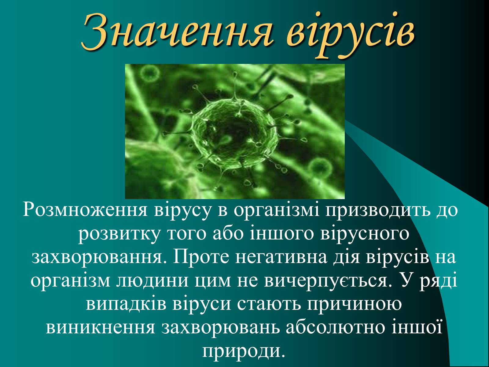 Презентація на тему «Віруси» (варіант 10) - Слайд #11 Презентація на тему «Віруси» (варіант 10) - Слайд #11