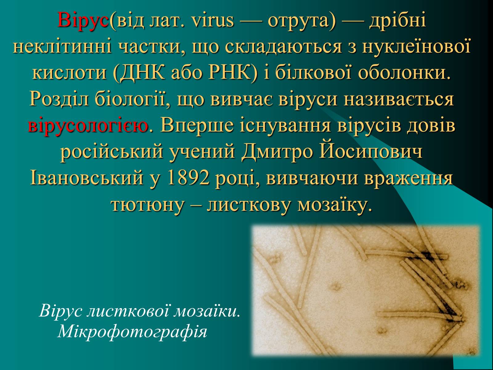 Презентація на тему «Віруси» (варіант 10) - Слайд #2 Презентація на тему «Віруси» (варіант 10) - Слайд #2