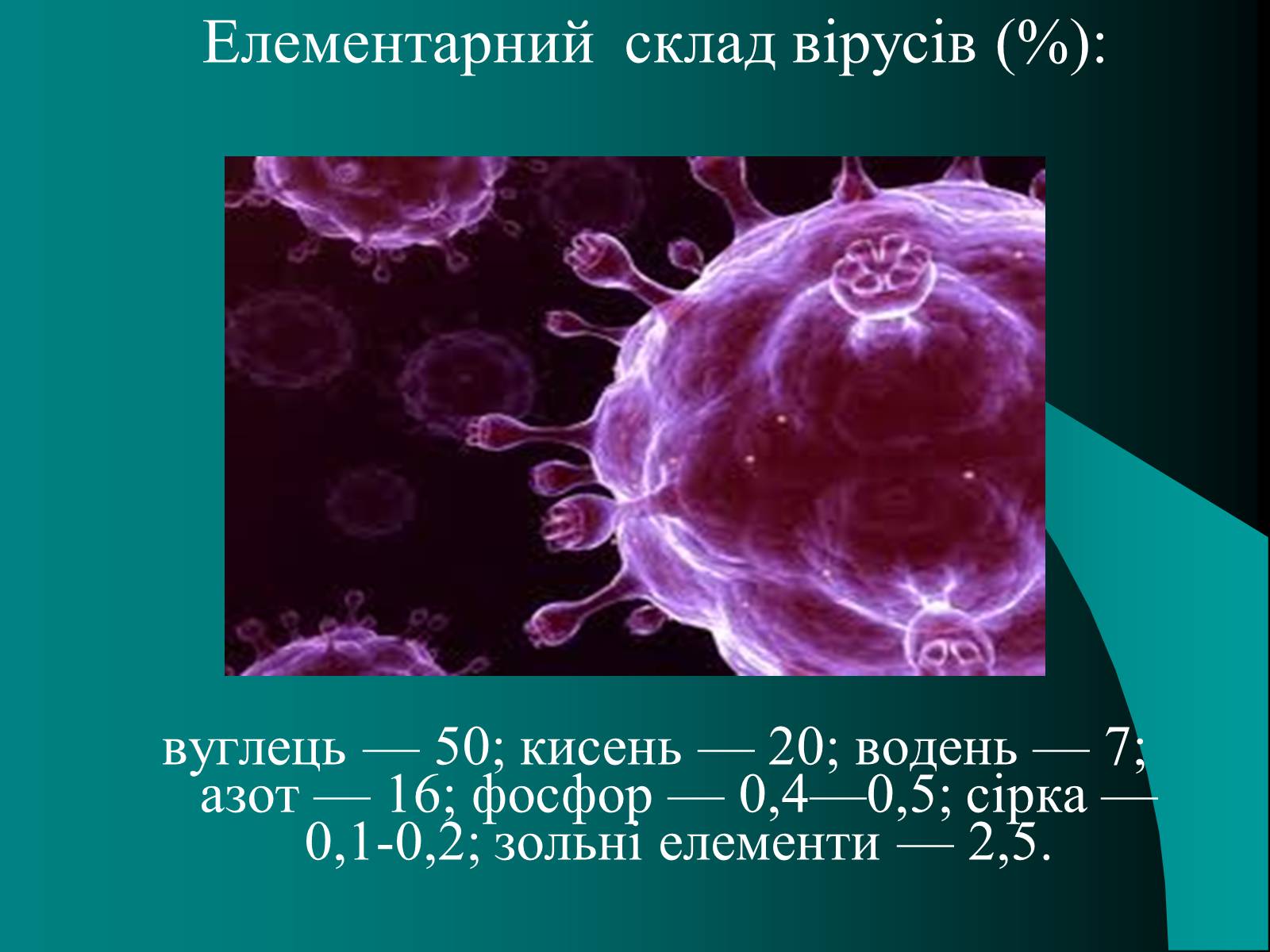Презентація на тему «Віруси» (варіант 10) - Слайд #4 Презентація на тему «Віруси» (варіант 10) - Слайд #4