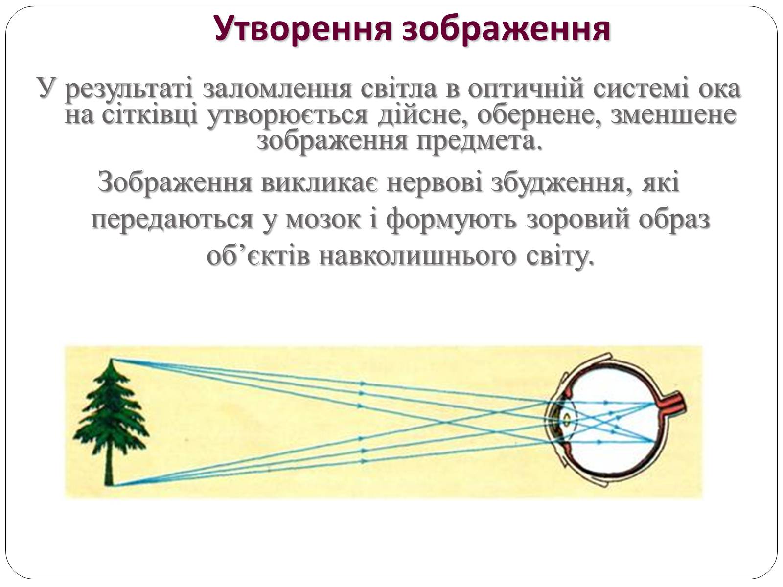 Презентація на тему «Вади Зору» - Слайд #6 Презентація на тему «Вади Зору» - Слайд #6