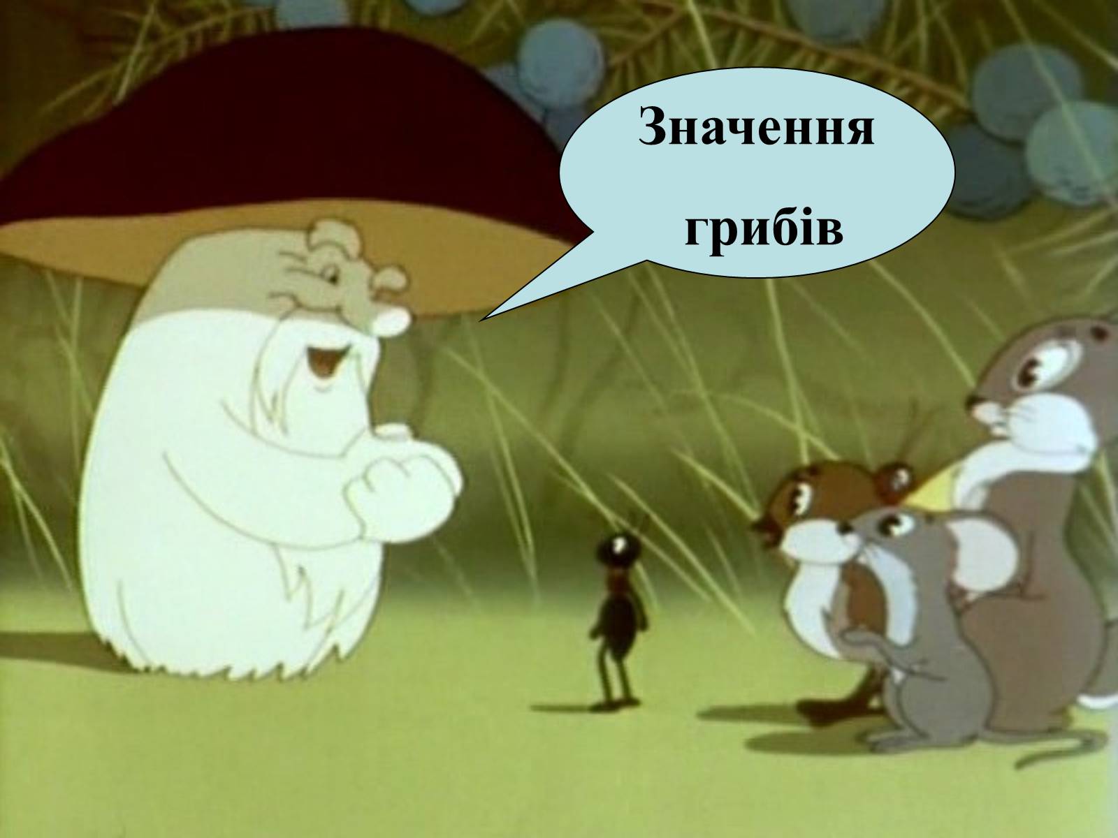 Презентація на тему «Гриби» (варіант 4) - Слайд #16 Презентація на тему «Гриби» (варіант 4) - Слайд #16