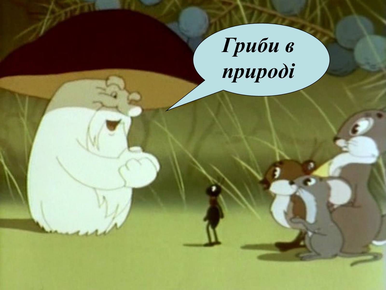 Презентація на тему «Гриби» (варіант 4) - Слайд #7 Презентація на тему «Гриби» (варіант 4) - Слайд #7