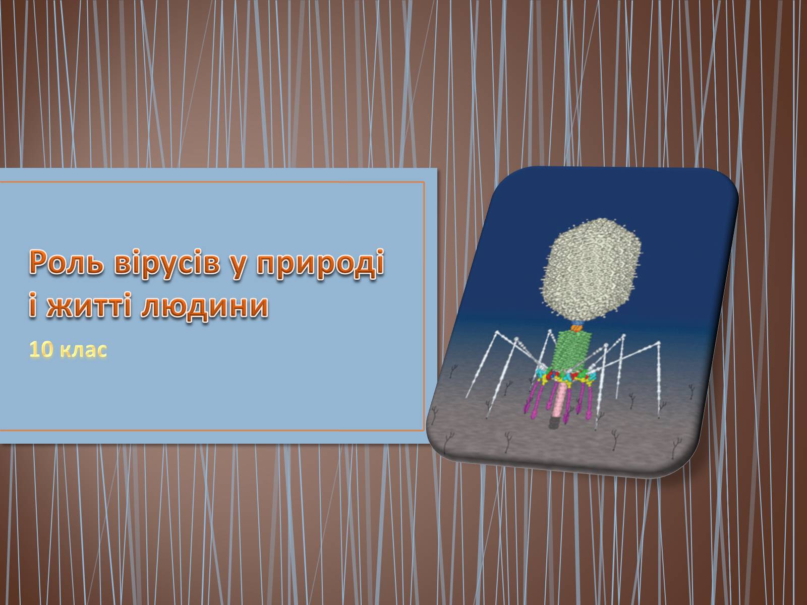 Презентація на тему «Роль вірусів у природі і житті людини» (варіант 1) - Слайд #1 Презентація на тему «Роль вірусів у природі і житті людини» (варіант 1) - Слайд #1