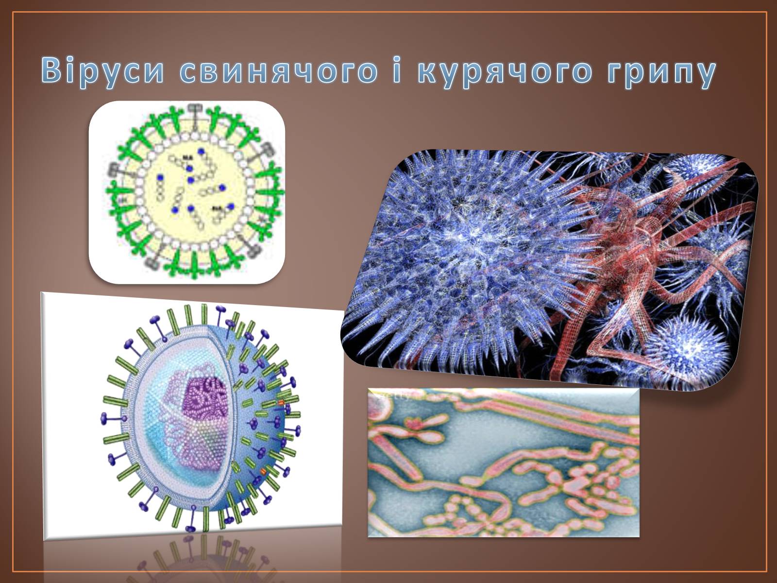 Презентація на тему «Роль вірусів у природі і житті людини» (варіант 1) - Слайд #10 Презентація на тему «Роль вірусів у природі і житті людини» (варіант 1) - Слайд #10