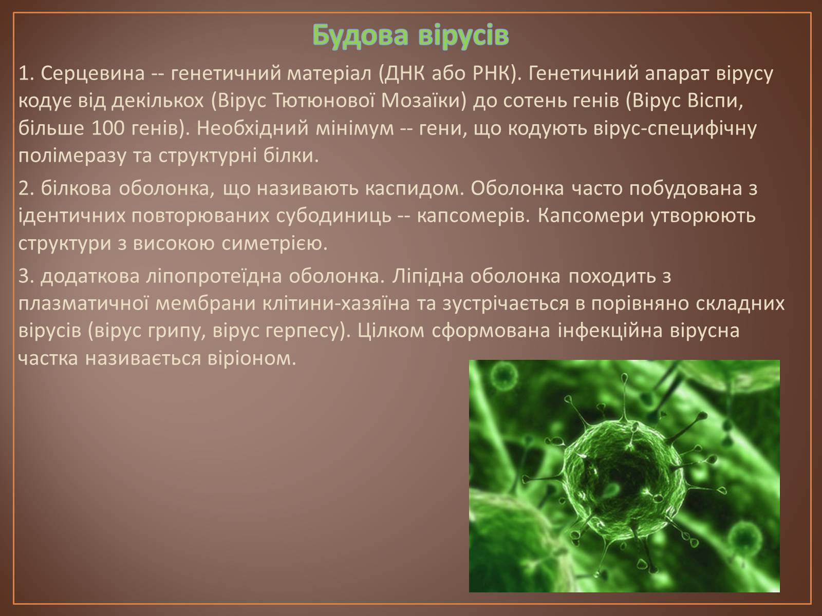 Презентація на тему «Роль вірусів у природі і житті людини» (варіант 1) - Слайд #3 Презентація на тему «Роль вірусів у природі і житті людини» (варіант 1) - Слайд #3
