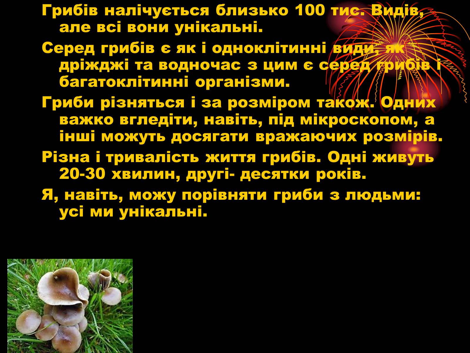 Презентація на тему «Царство Гриби» - Слайд #3 Презентація на тему «Царство Гриби» - Слайд #3