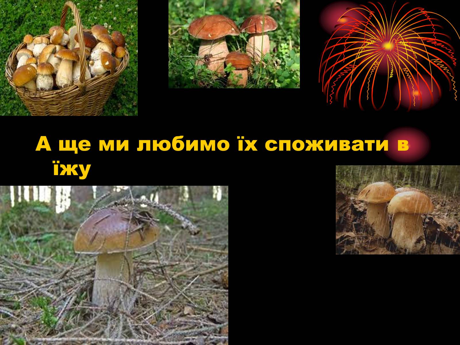 Презентація на тему «Царство Гриби» - Слайд #4 Презентація на тему «Царство Гриби» - Слайд #4