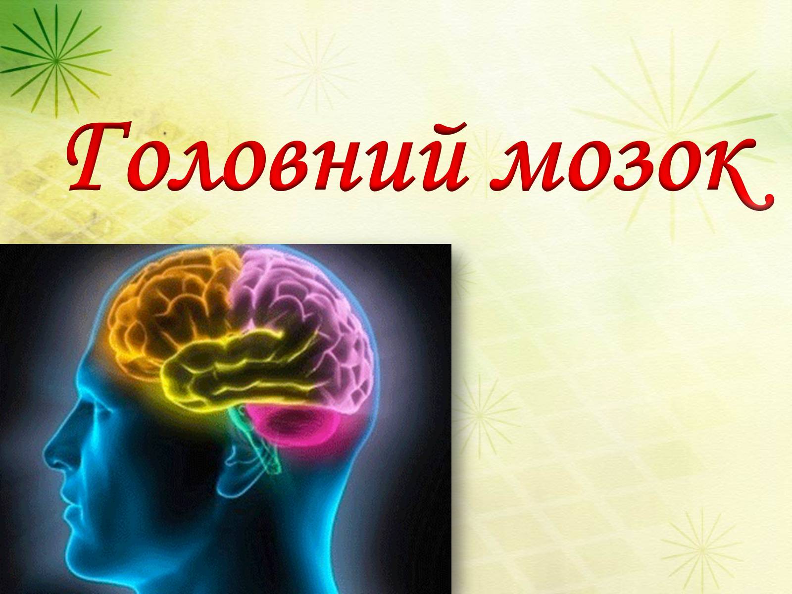 Презентація на тему «Головний мозок» (варіант 3) - Слайд #1 Презентація на тему «Головний мозок» (варіант 3) - Слайд #1