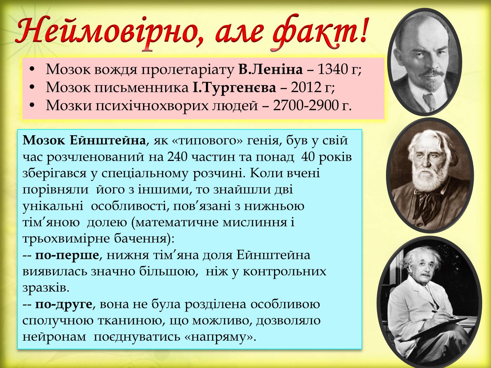 Презентація на тему «Головний мозок» (варіант 3) - Слайд #27 Презентація на тему «Головний мозок» (варіант 3) - Слайд #27