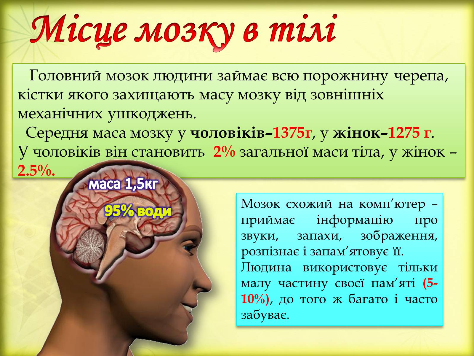 Презентація на тему «Головний мозок» (варіант 3) - Слайд #4 Презентація на тему «Головний мозок» (варіант 3) - Слайд #4
