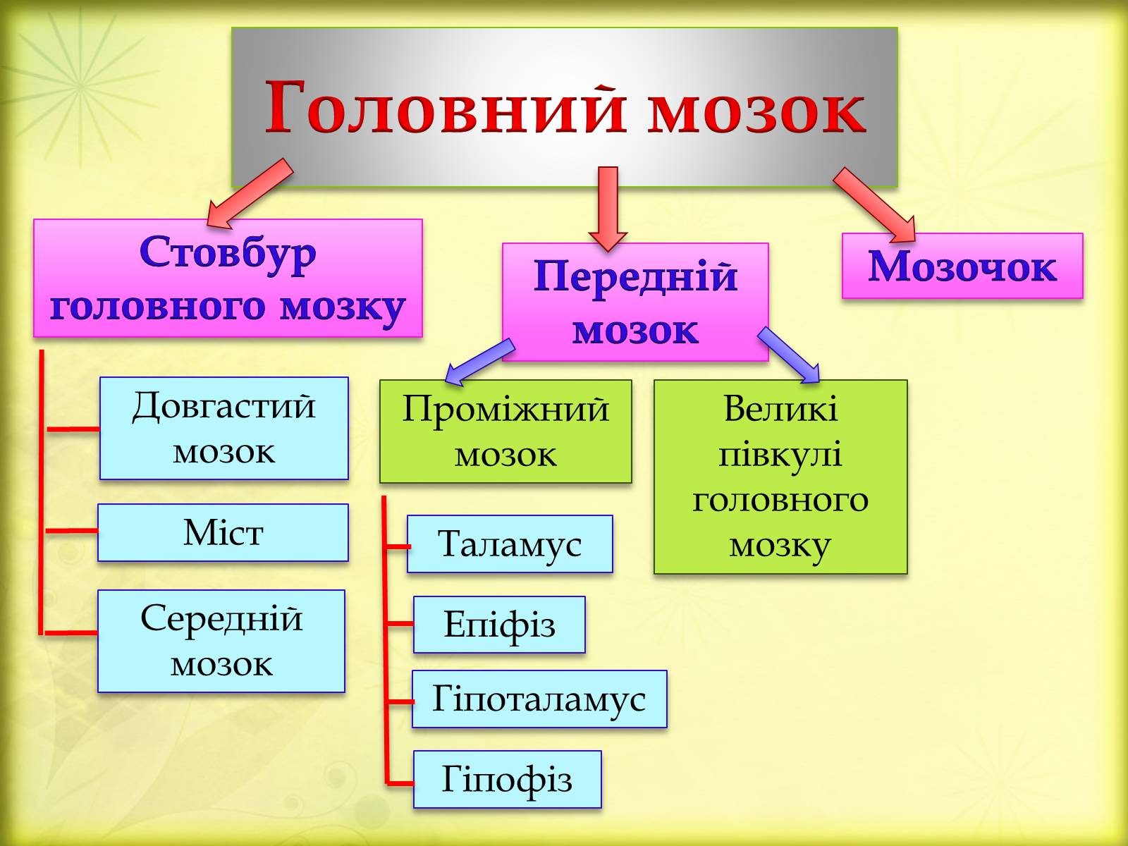 Презентація на тему «Головний мозок» (варіант 3) - Слайд #8 Презентація на тему «Головний мозок» (варіант 3) - Слайд #8