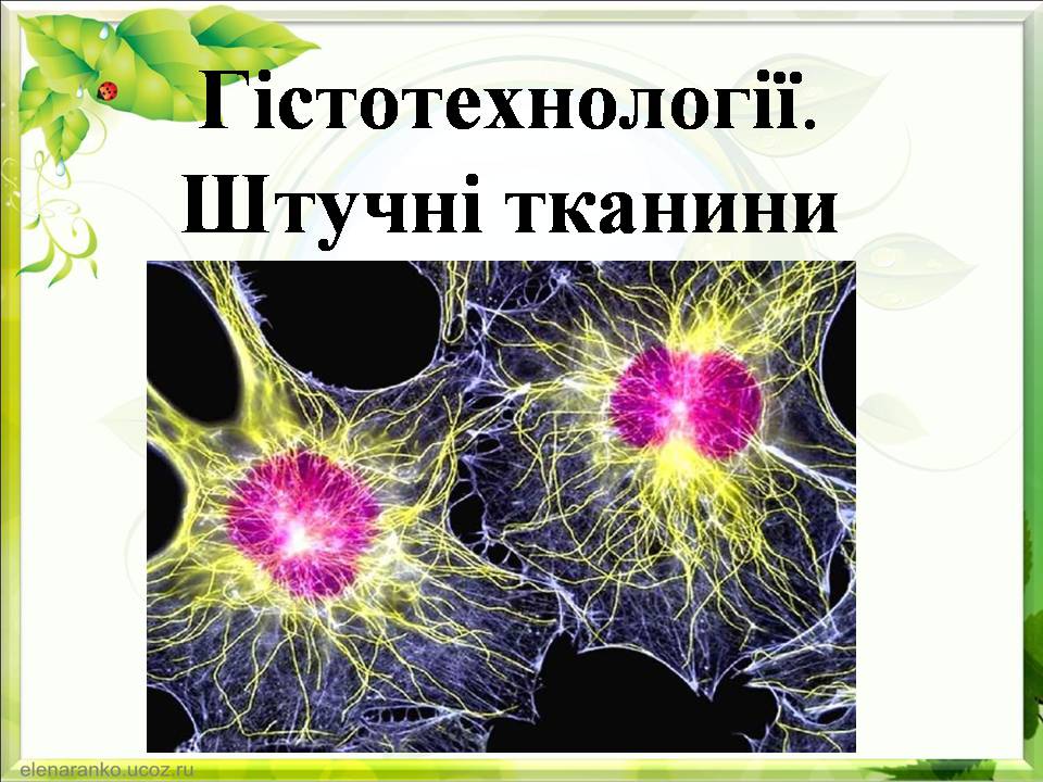 Презентація на тему «Гістотехнології.Штучні тканини» - Слайд #1 Презентація на тему «Гістотехнології.Штучні тканини» - Слайд #1
