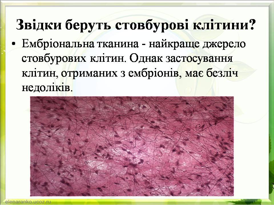 Презентація на тему «Гістотехнології.Штучні тканини» - Слайд #11 Презентація на тему «Гістотехнології.Штучні тканини» - Слайд #11