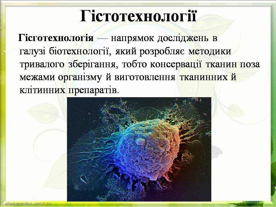 Презентація на тему «Гістотехнології.Штучні тканини» - Слайд #3 Презентація на тему «Гістотехнології.Штучні тканини» - Слайд #3