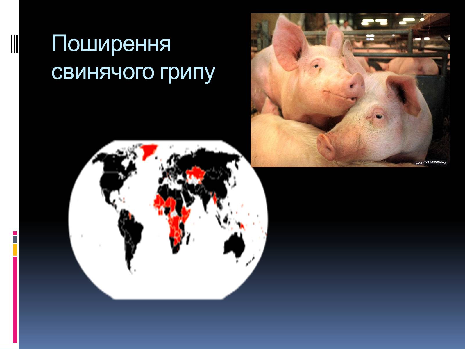 Презентація на тему «Вірусні захворювання» (варіант 4) - Слайд #16 Презентація на тему «Вірусні захворювання» (варіант 4) - Слайд #16