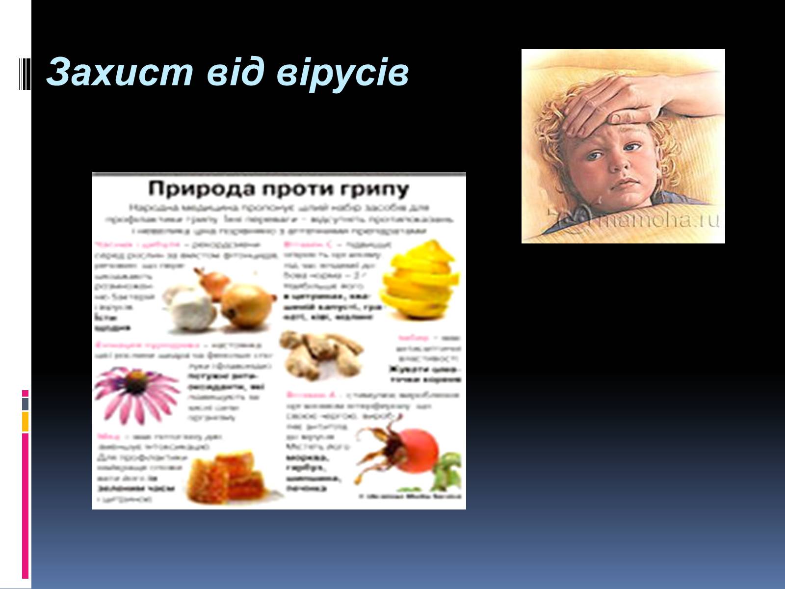 Презентація на тему «Вірусні захворювання» (варіант 4) - Слайд #9 Презентація на тему «Вірусні захворювання» (варіант 4) - Слайд #9