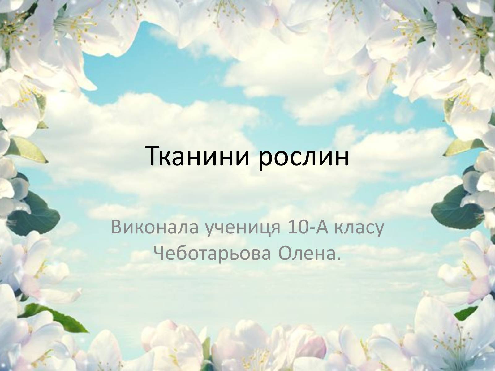 Презентація на тему «Тканини рослин» - Слайд #1 Презентація на тему «Тканини рослин» - Слайд #1