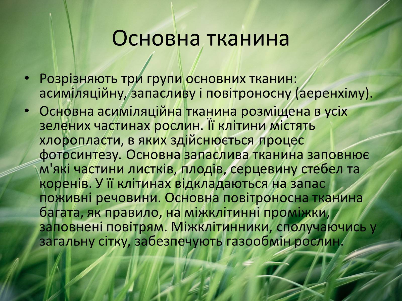 Презентація на тему «Тканини рослин» - Слайд #13 Презентація на тему «Тканини рослин» - Слайд #13