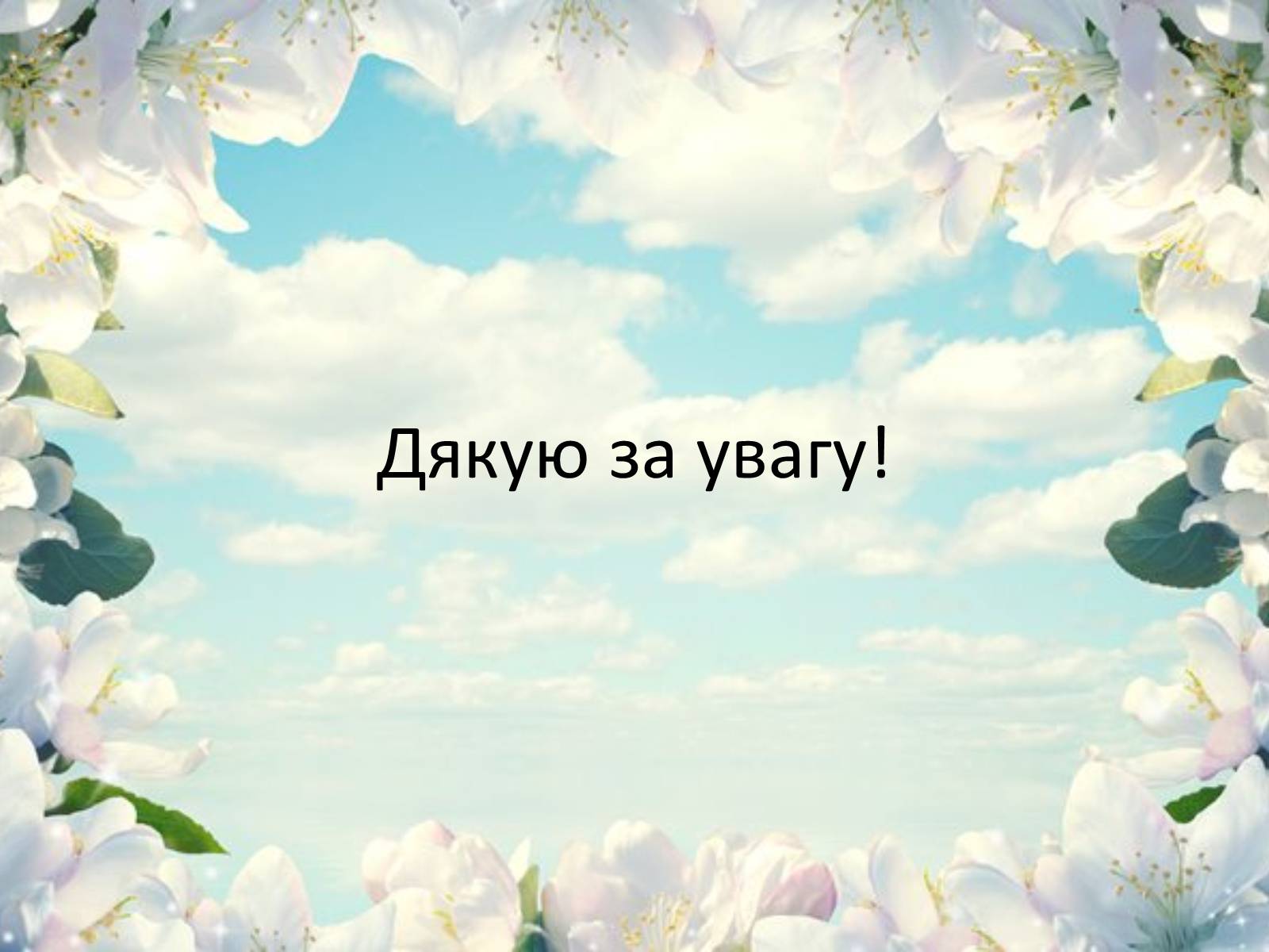 Презентація на тему «Тканини рослин» - Слайд #14 Презентація на тему «Тканини рослин» - Слайд #14