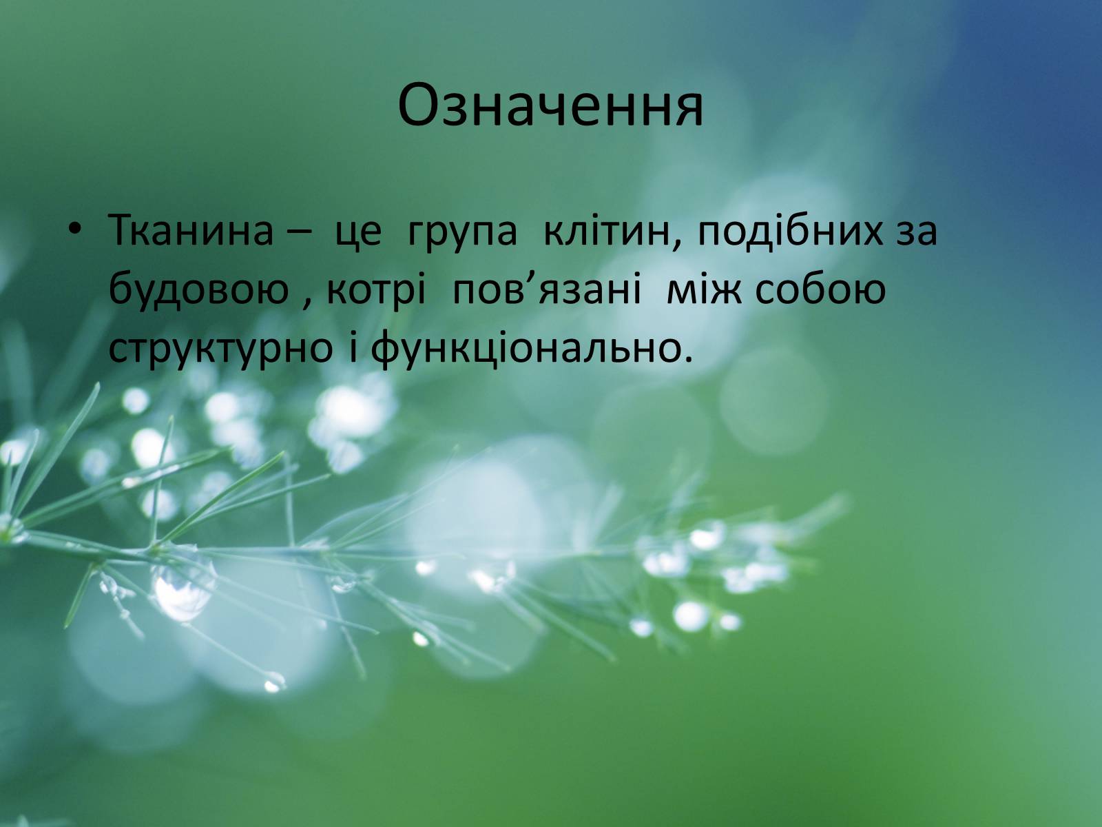 Презентація на тему «Тканини рослин» - Слайд #2 Презентація на тему «Тканини рослин» - Слайд #2