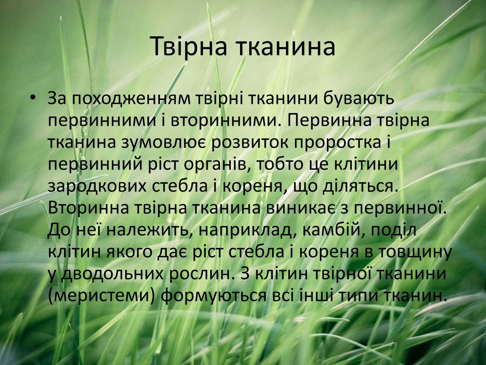 Презентація на тему «Тканини рослин» - Слайд #5 Презентація на тему «Тканини рослин» - Слайд #5