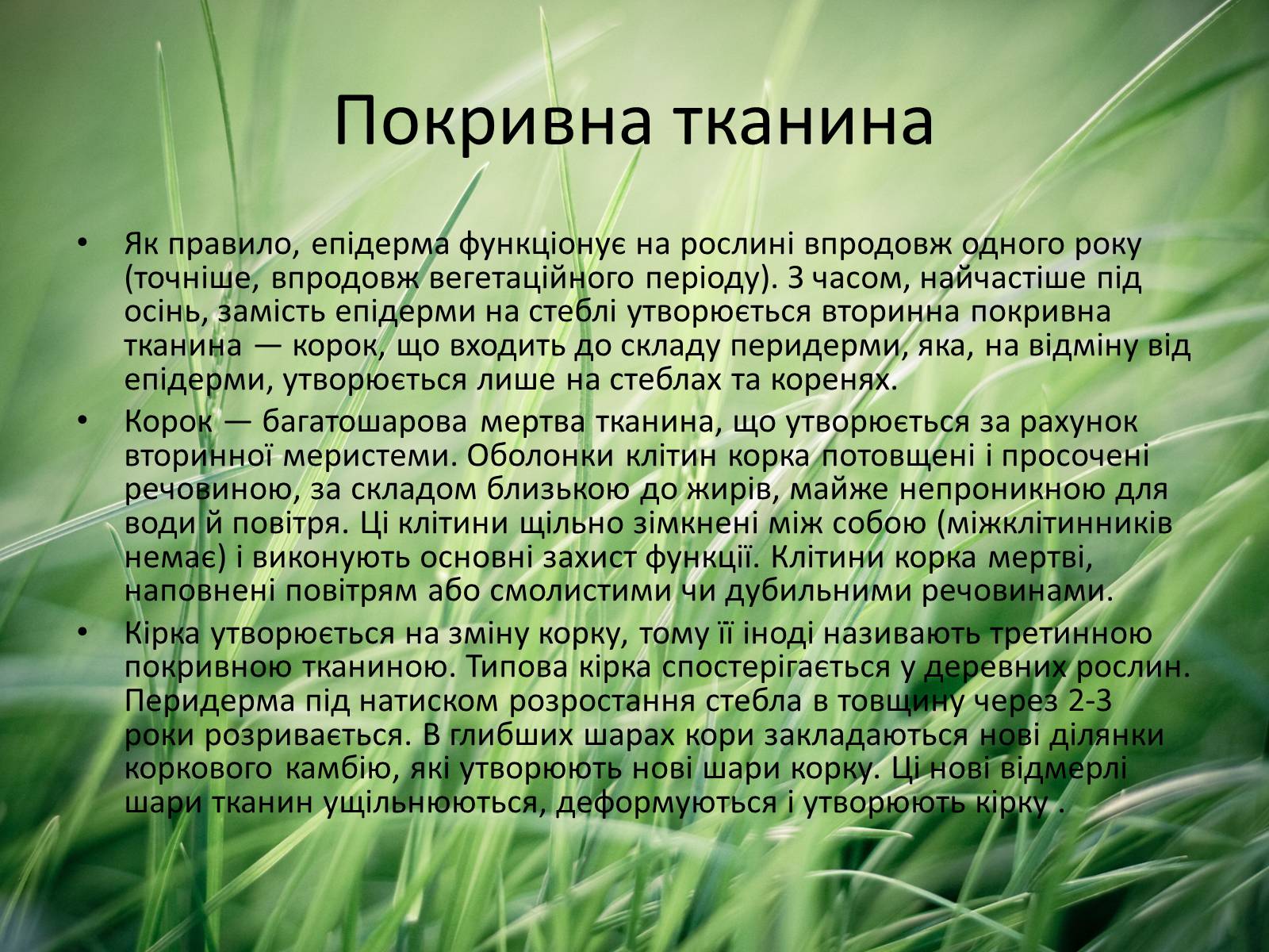 Презентація на тему «Тканини рослин» - Слайд #7 Презентація на тему «Тканини рослин» - Слайд #7