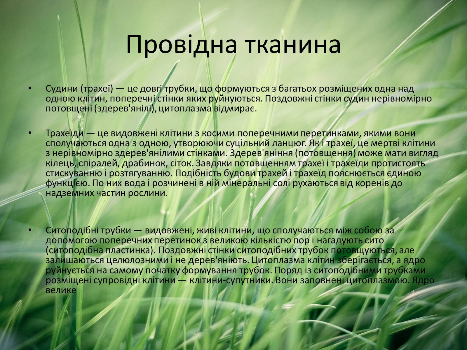 Презентація на тему «Тканини рослин» - Слайд #9 Презентація на тему «Тканини рослин» - Слайд #9