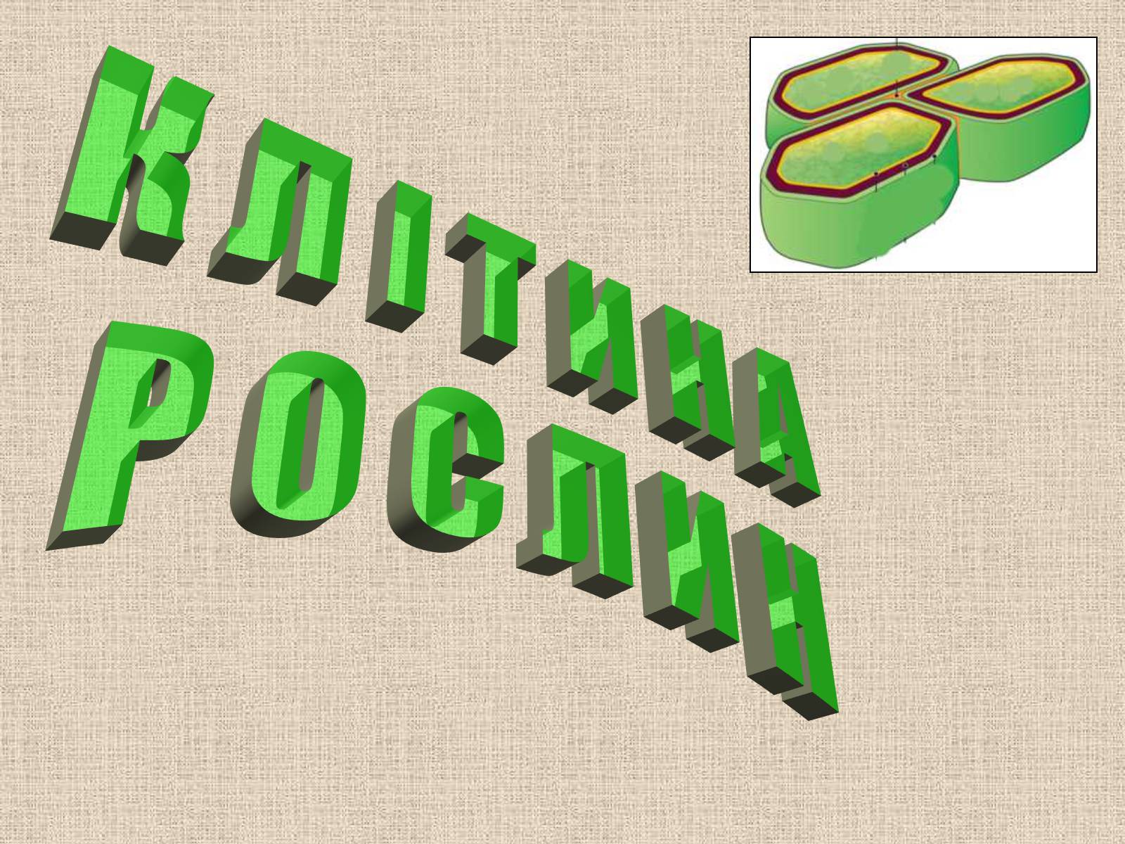 Презентація на тему «Клітина Рослини» - Слайд #1 Презентація на тему «Клітина Рослини» - Слайд #1