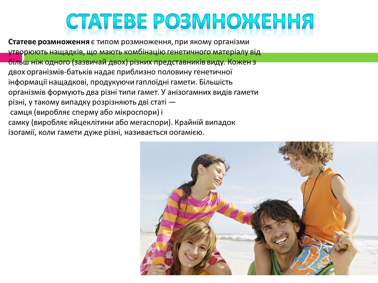 Презентація на тему «Статеве розмноження людини» - Слайд #4 Презентація на тему «Статеве розмноження людини» - Слайд #4