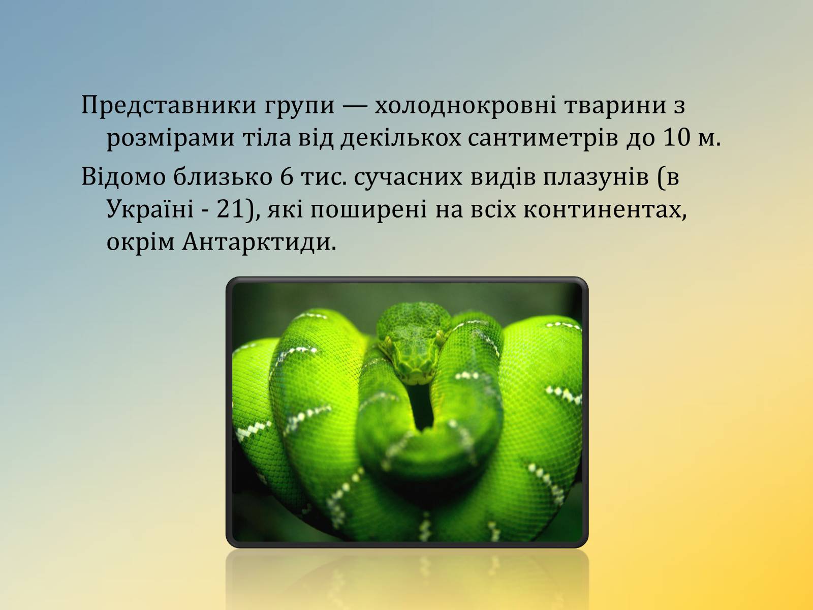 Презентація на тему «Плазуни» (варіант 1) - Слайд #2 Презентація на тему «Плазуни» (варіант 1) - Слайд #2