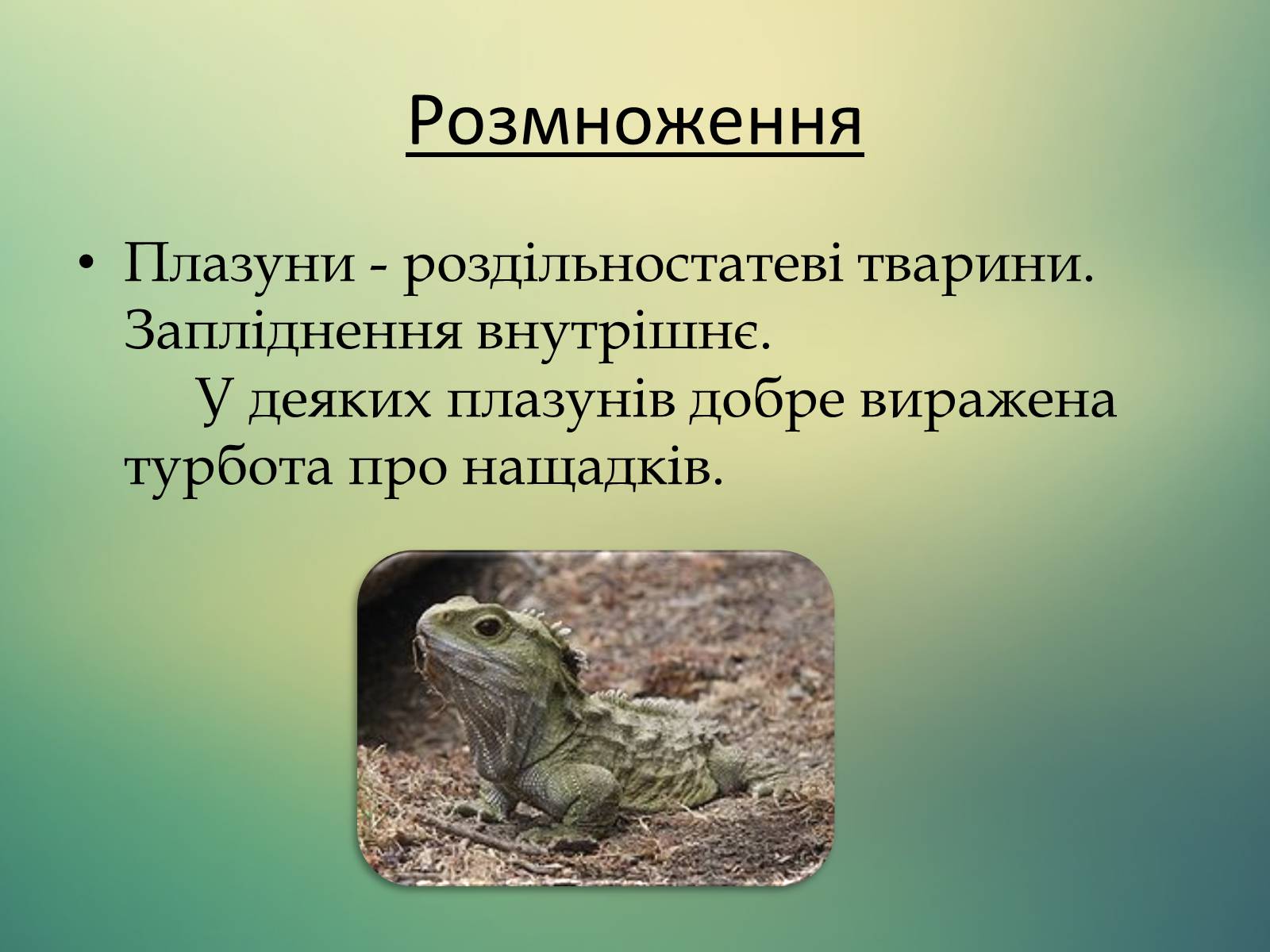 Презентація на тему «Плазуни» (варіант 1) - Слайд #7 Презентація на тему «Плазуни» (варіант 1) - Слайд #7