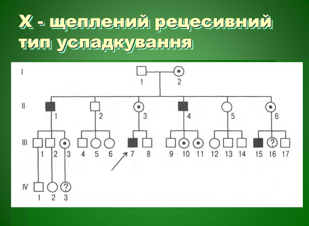 Презентація на тему «Основи медичної генетики» - Слайд #10 Презентація на тему «Основи медичної генетики» - Слайд #10