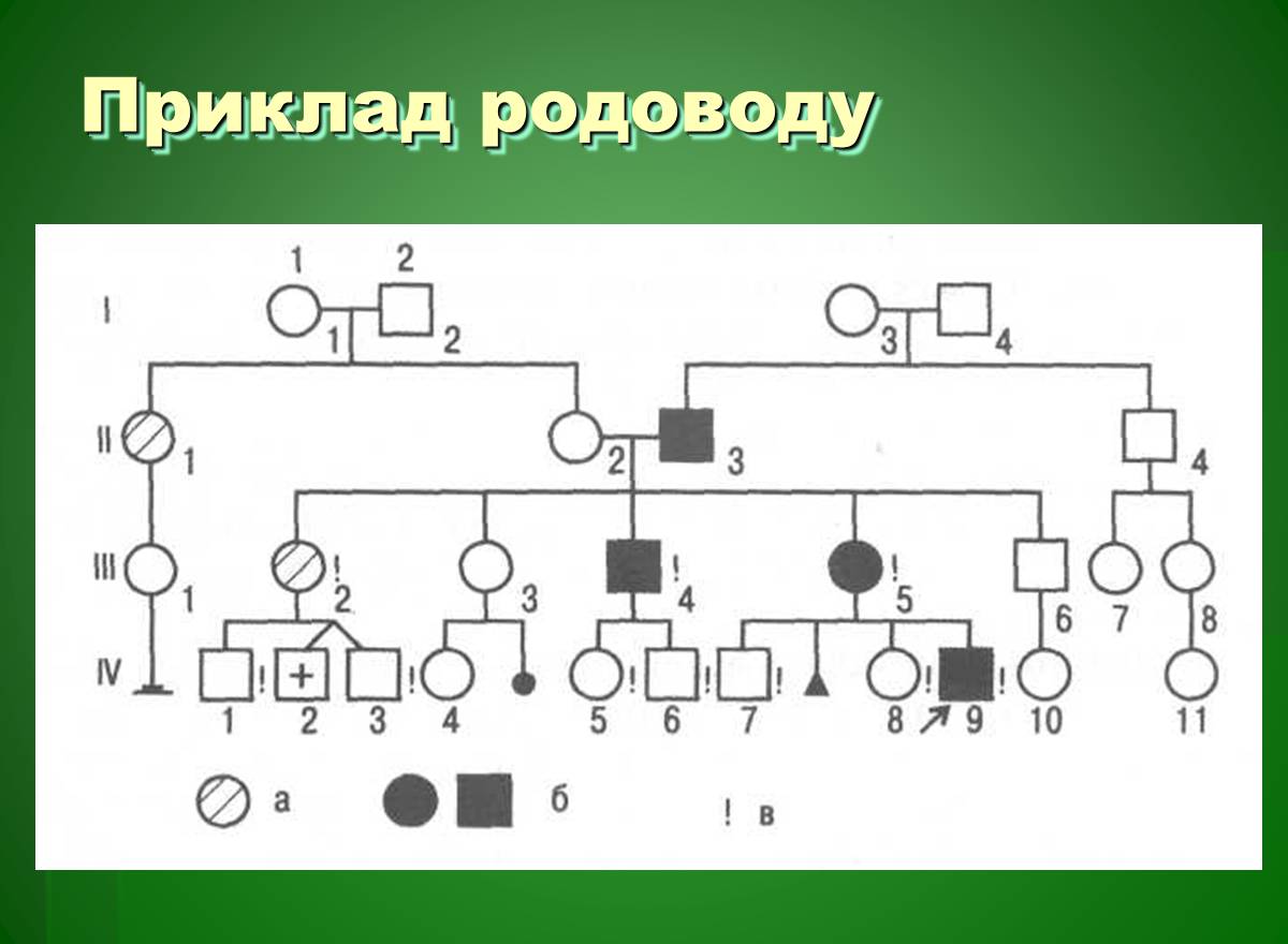Презентація на тему «Основи медичної генетики» - Слайд #8 Презентація на тему «Основи медичної генетики» - Слайд #8